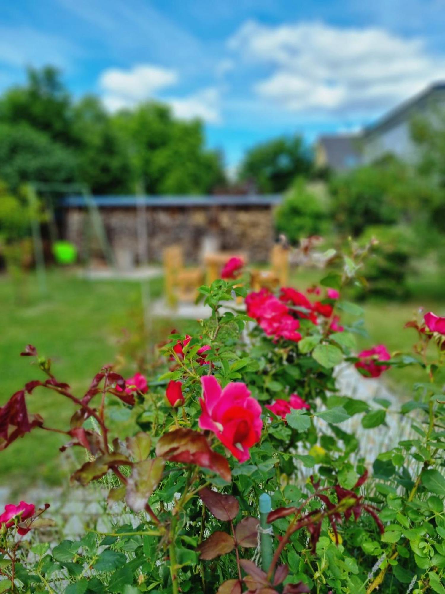 Appartamento Ferien Oase Am Ber Schönefeld Esterno foto